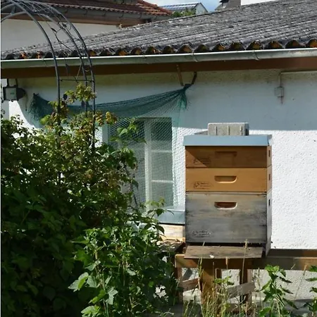 아파트 Zum Bienenstock Mörlenbach