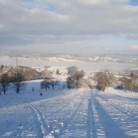 아파트 Zum Bienenstock