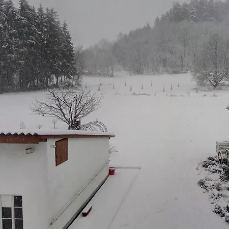 Zum Bienenstock Apartamento