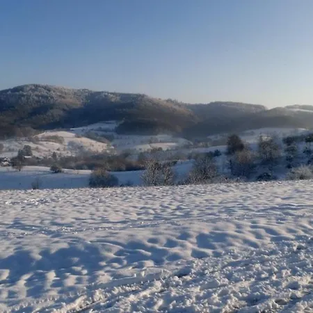 شقة Zum Bienenstock Mörlenbach