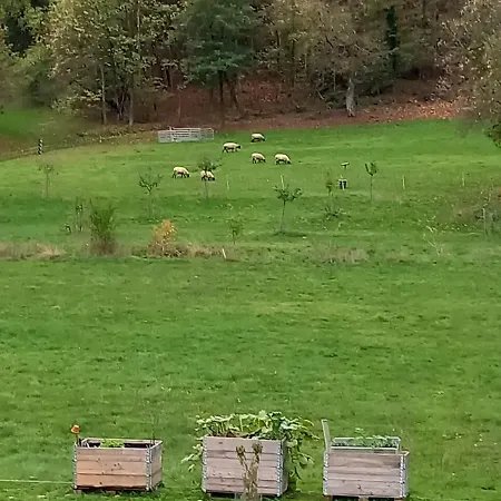Zum Bienenstock Mörlenbach