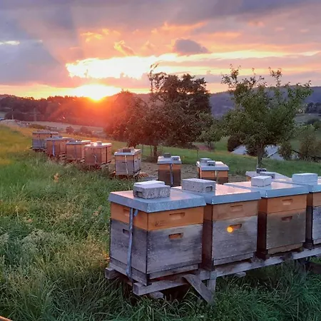 Zum Bienenstock Mörlenbach