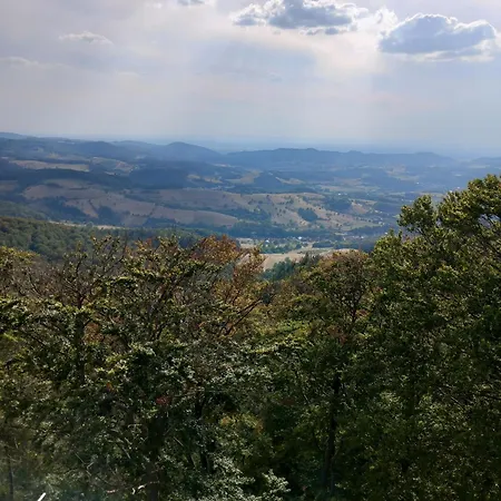 Apartamento Zum Bienenstock Mörlenbach