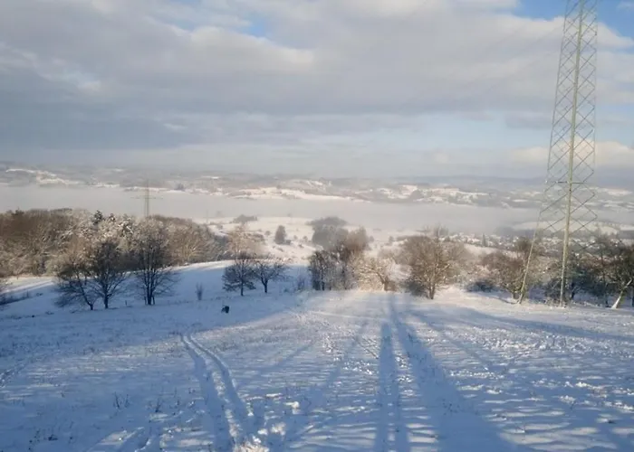 Διαμέρισμα Zum Bienenstock