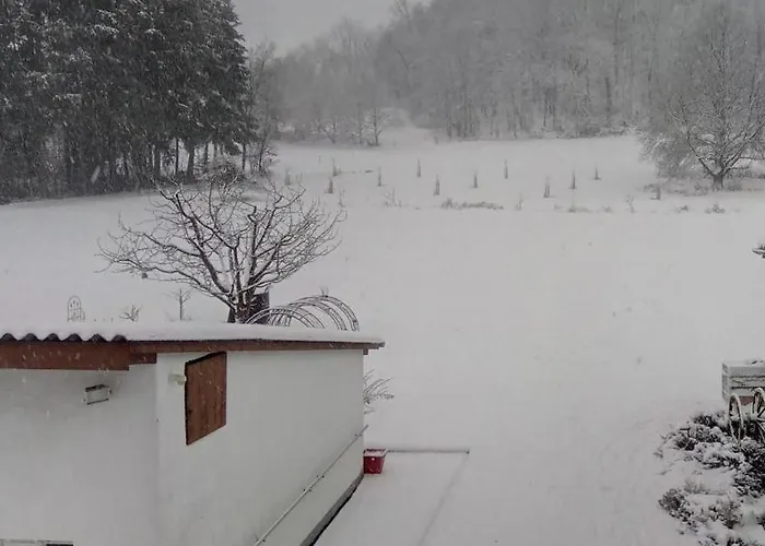 Zum Bienenstock Διαμέρισμα