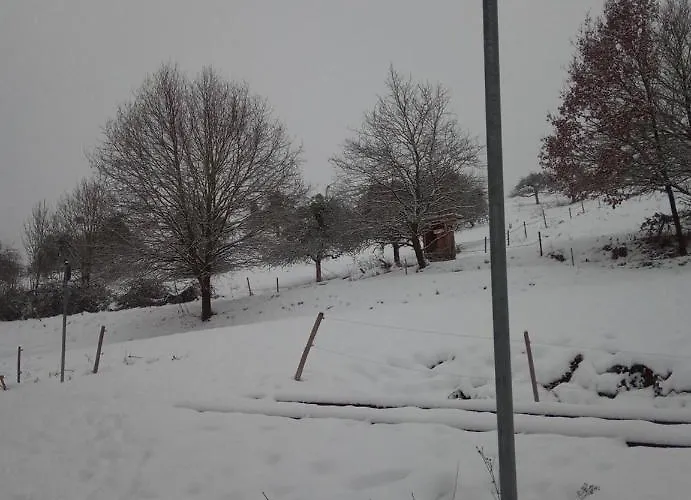 Διαμέρισμα Zum Bienenstock *