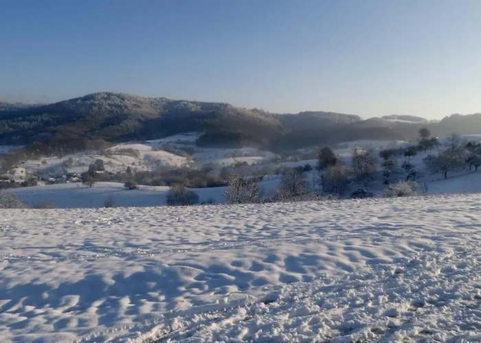 Διαμέρισμα Zum Bienenstock Mörlenbach