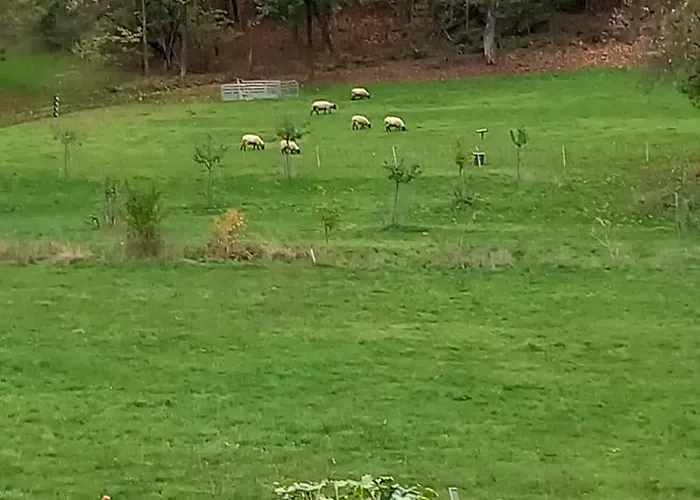 Zum Bienenstock Mörlenbach