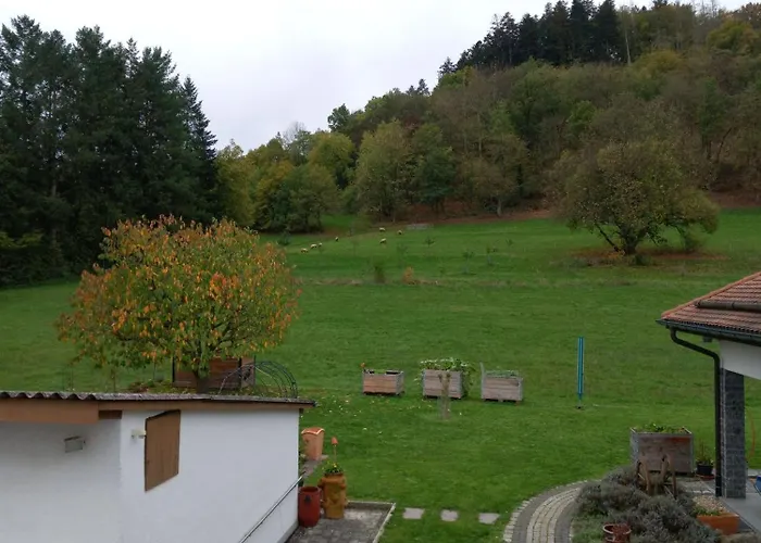 Zum Bienenstock Διαμέρισμα *