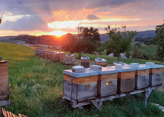 Zum Bienenstock Mörlenbach